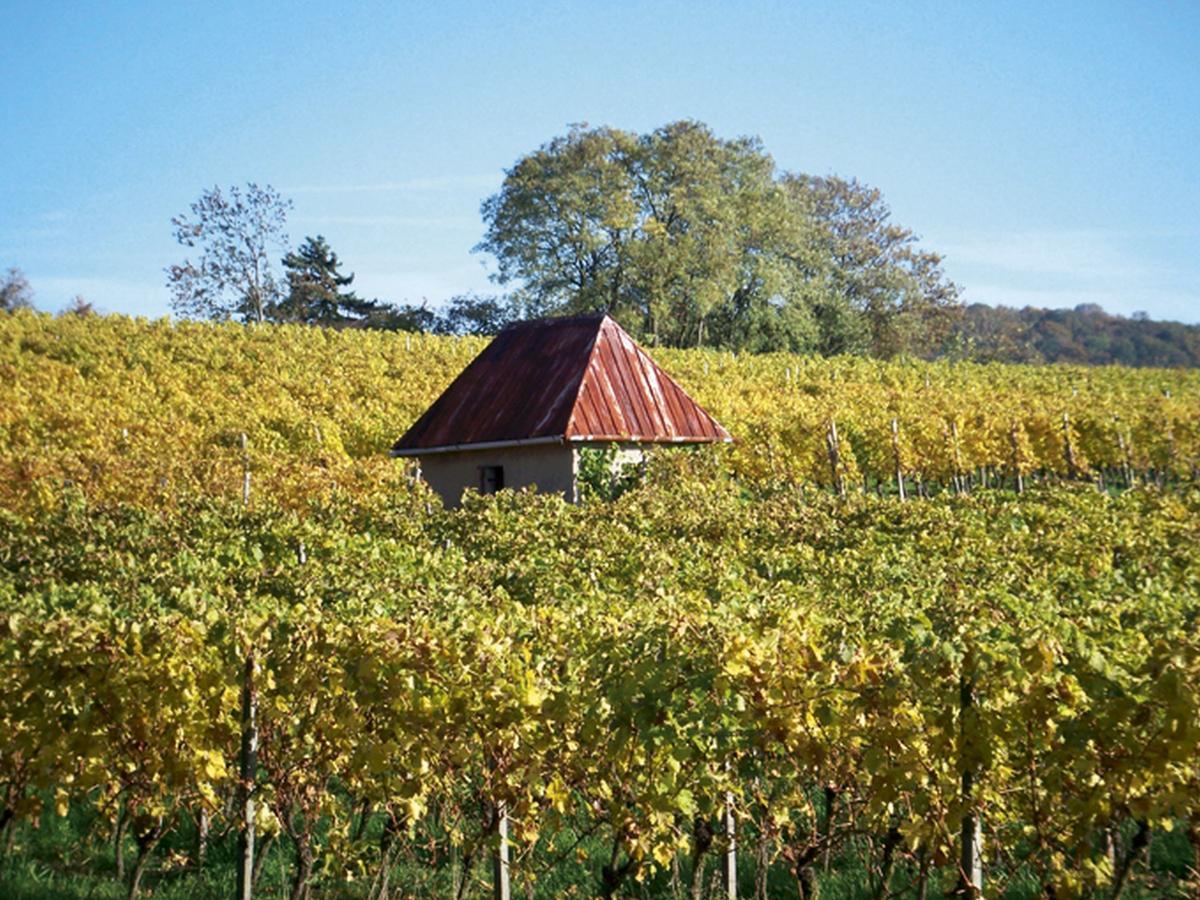 Hotel-Gasthof Rotes Ross Markt Einersheim Eksteriør bilde